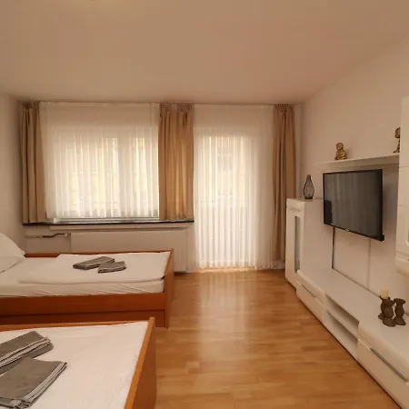 In With Terrace Apartment